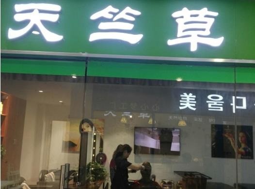 天竺草植物养发馆